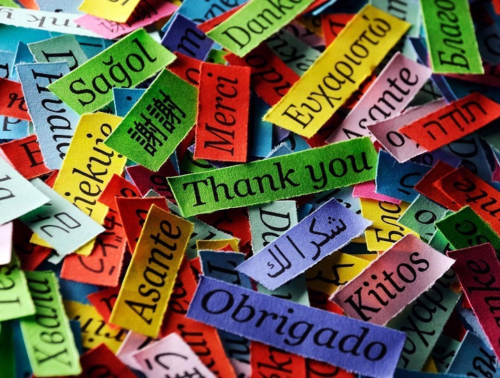 Academic Diploma Programmes